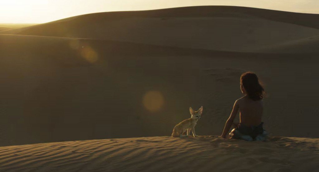 actualité L'ENFANT DU DESERT